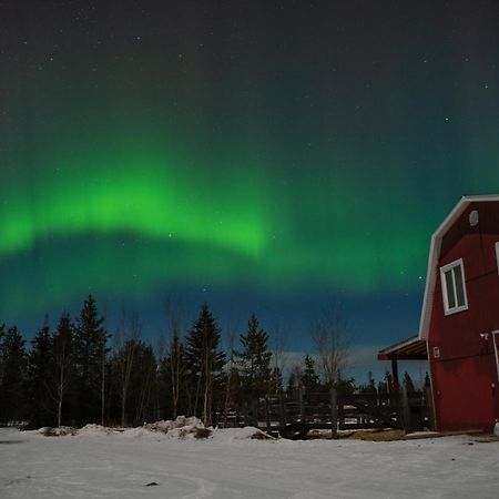 Appartement The Big Red Barn à Whitehorse Extérieur photo