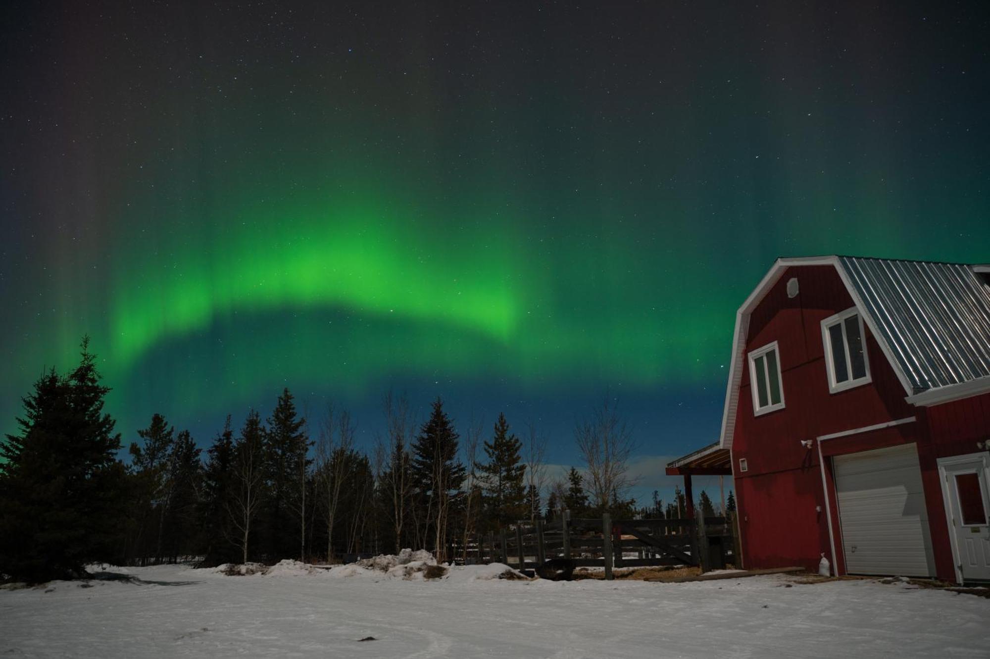 Appartement The Big Red Barn à Whitehorse Extérieur photo
